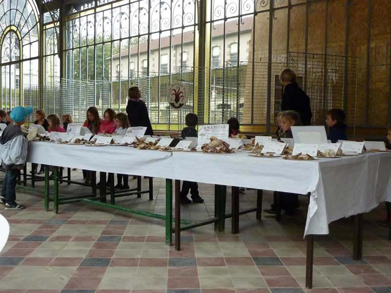 scolaire6