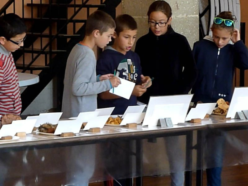scolaire10